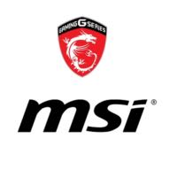 MSI